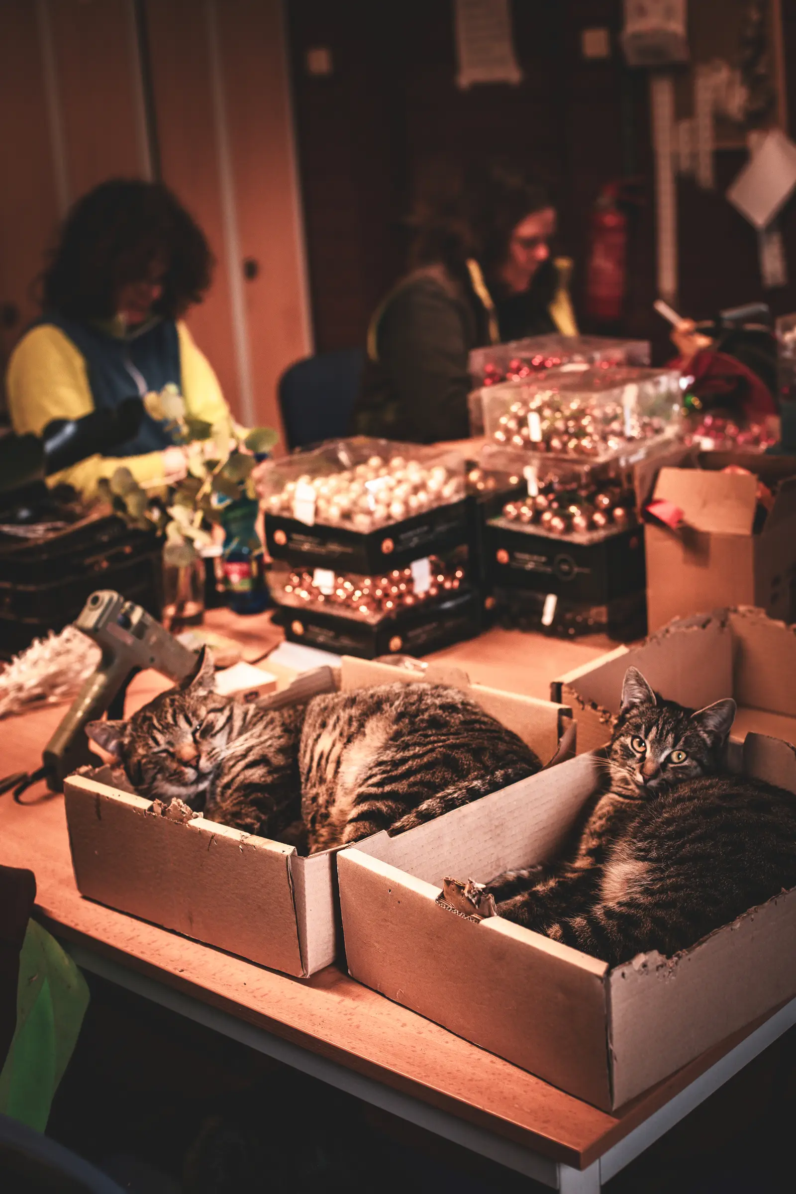 Ruční výroba adventních věnců v Zahradnictví Svrkyně